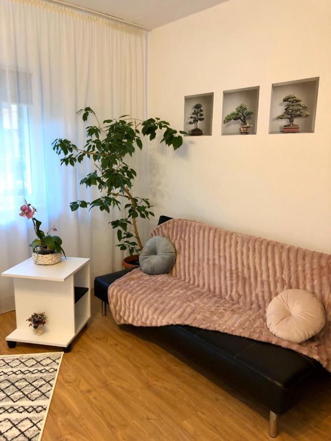 Mia'S House Lejlighed Piteşti Eksteriør billede